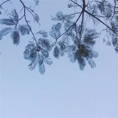 纽约汇市：美元小幅走高 美伊停火谈判前景不明